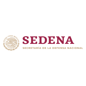 Icono-Sedena(2)